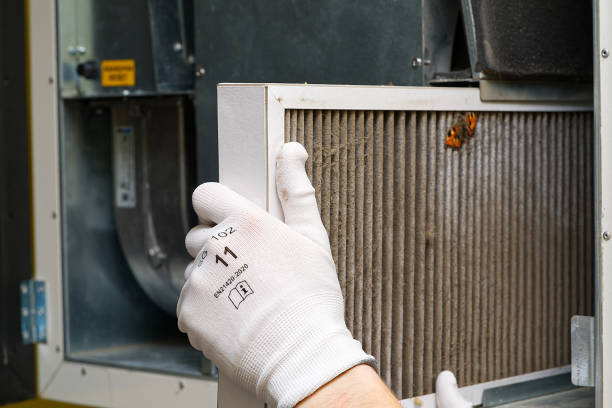 Best Air Vent Cleaning Services  in Metlatla, AK