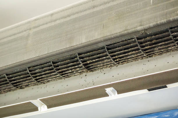 Best Air Duct Cleaning Near Me  in Metlatla, AK