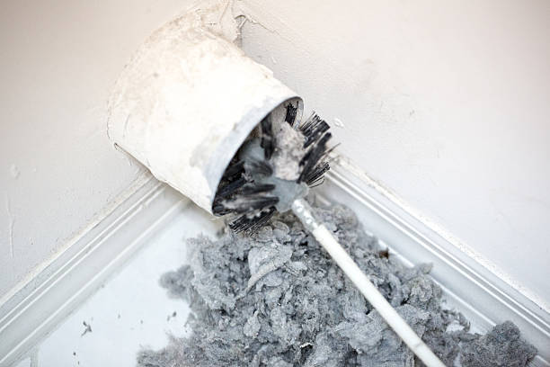 Best Professional Duct Cleaning Services  in Metlatla, AK